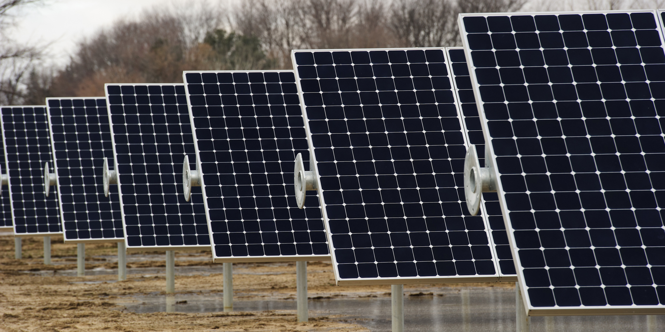 |soup plant|tomatoes on truck|hands holding palm fruit