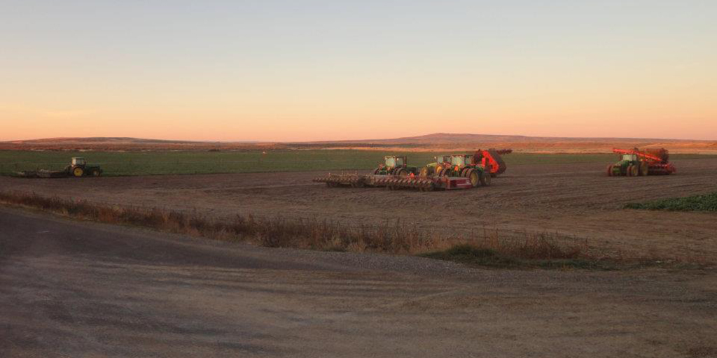 tractor on farm at sunset|man with tomatoes|man on tractor|goat farm|man on snow plow