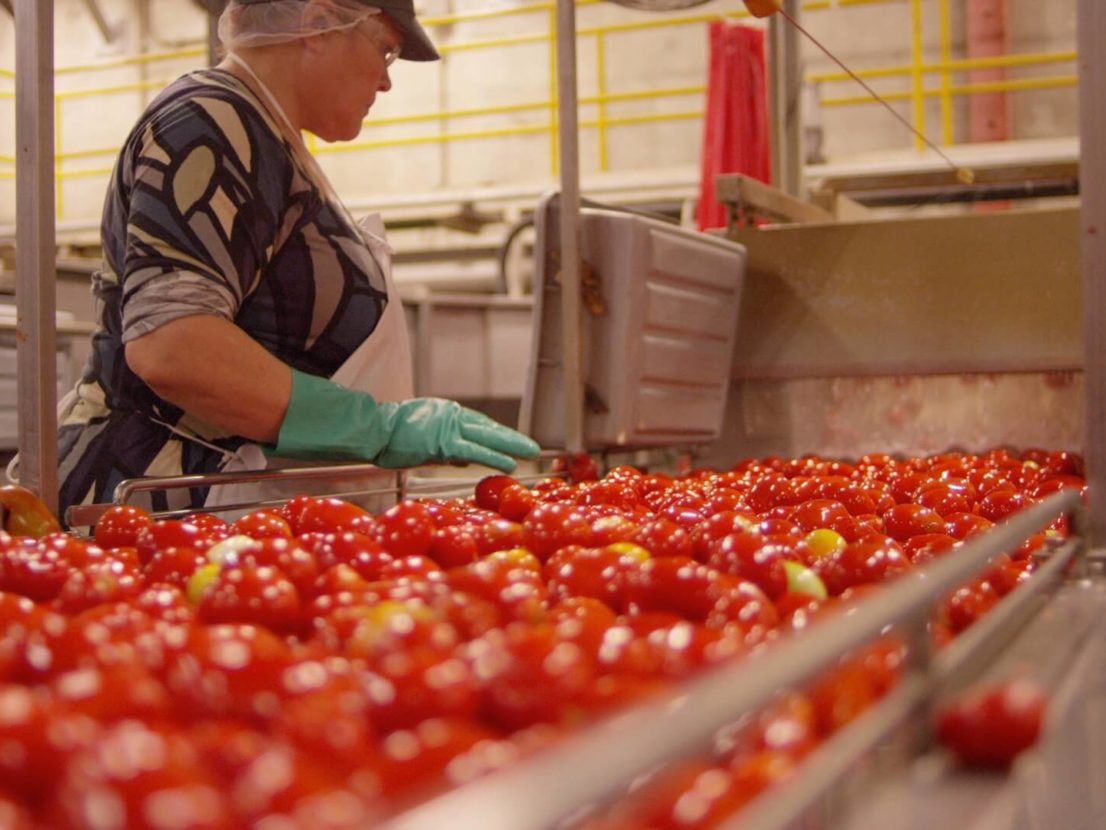 Preserving Tomatoes for Year Round Taste