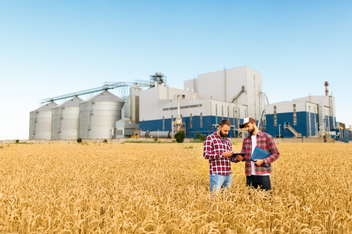 two men reviewing paper in grain field with mill in background