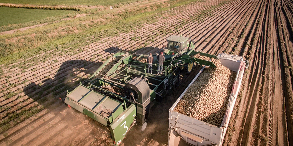 potato farm machinery||people on farm||||