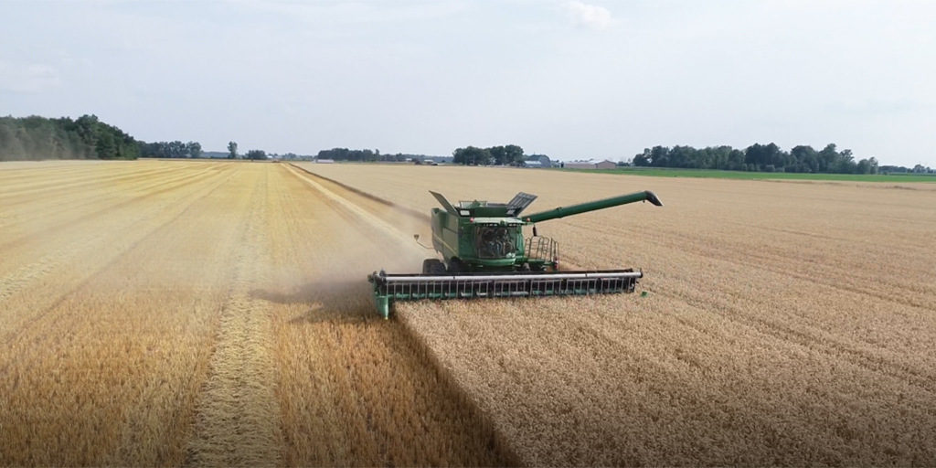 tractor in wheat farm