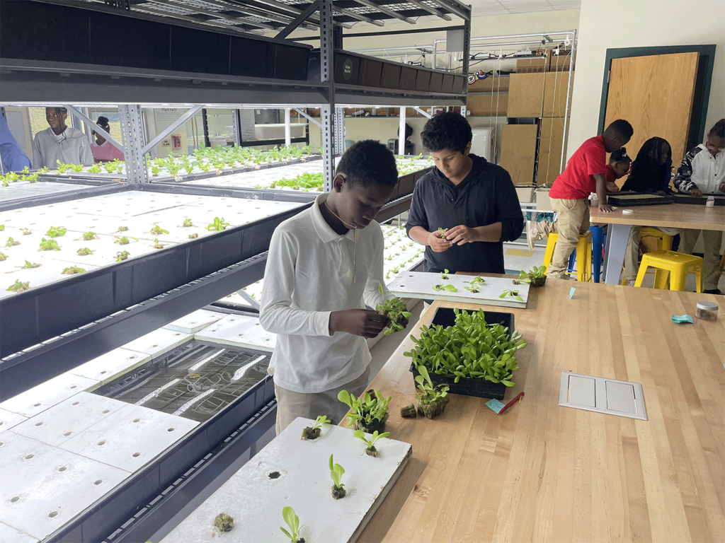 Students in Charlotte learn hands-on how hydroponic systems grow fresh produce year-round.